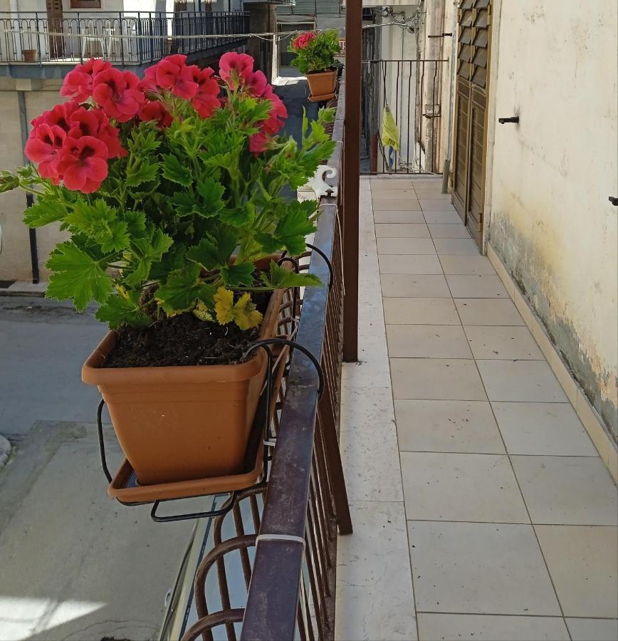 B&B La Casa Dell'Ospite Γκραβίνα Εξωτερικό φωτογραφία